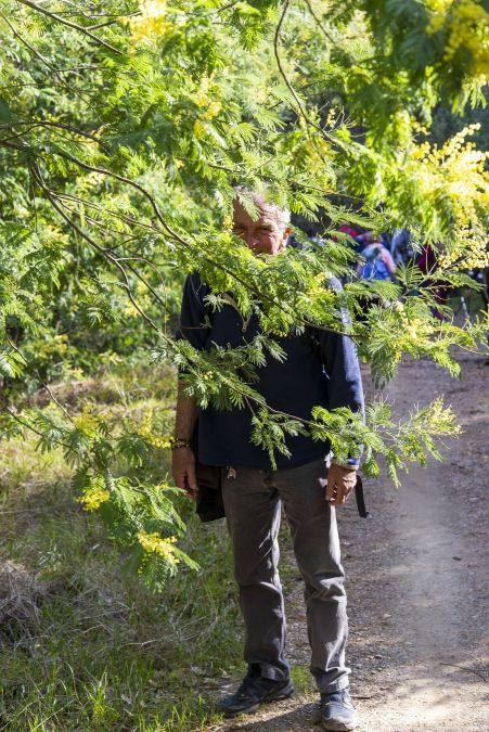 Les Borrels, baisse des Comtes 