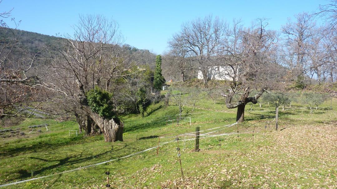 Collobrières, Saint Guillaume 