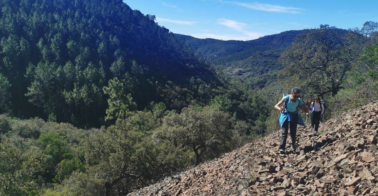 L’Estérel, vallon du Perthus