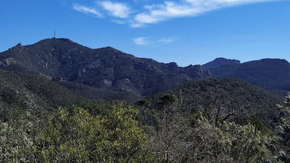 L’Estérel, vallon du Perthus