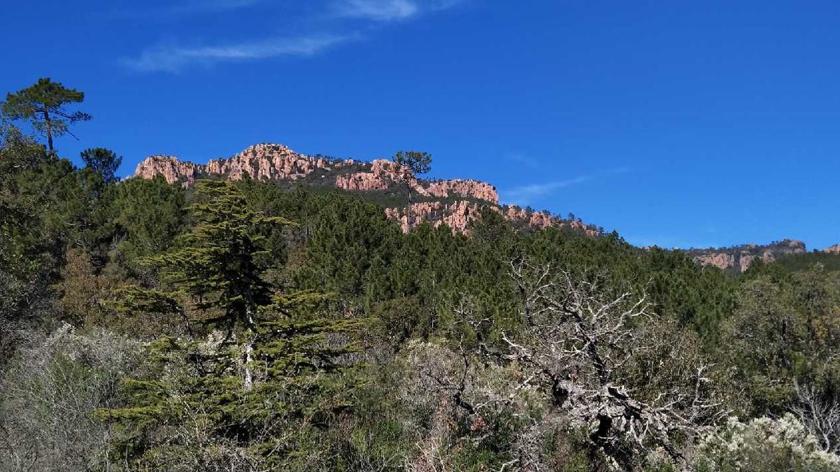 L’Estérel, vallon du Perthus