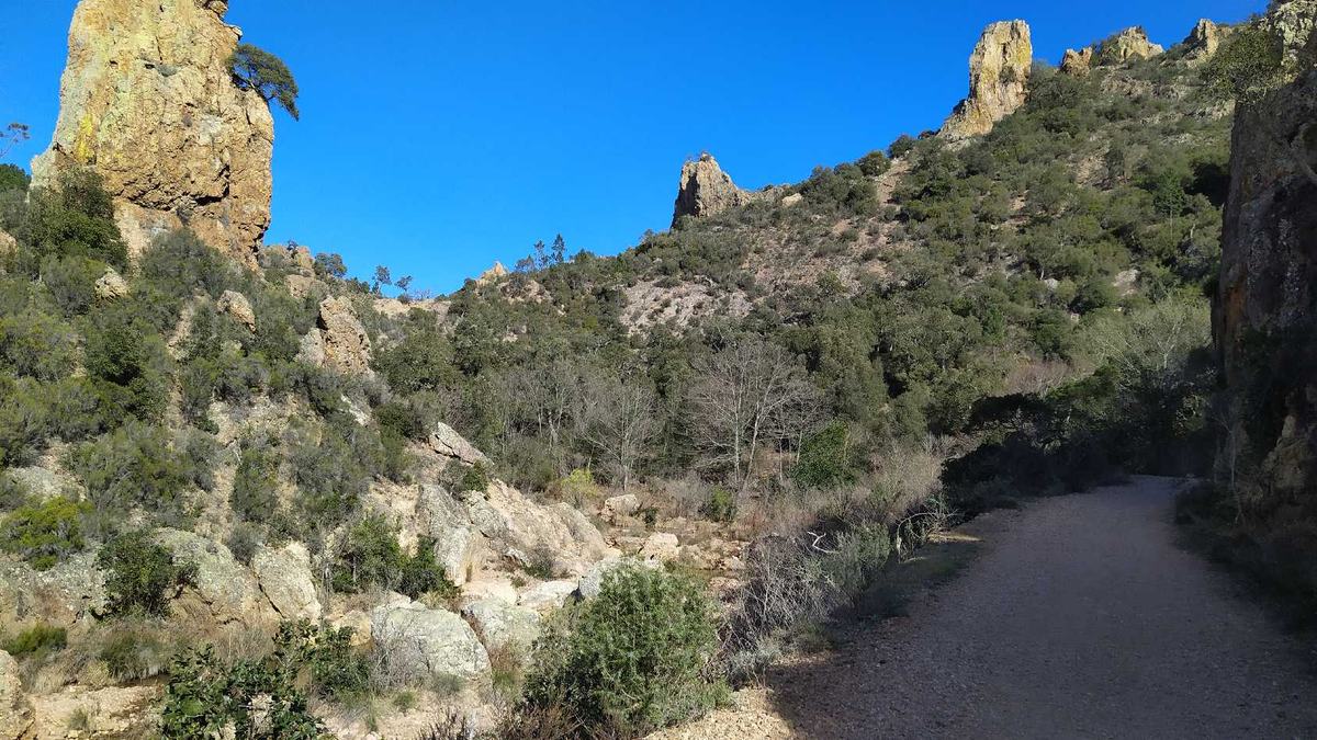 L’Estérel, vallon du Perthus