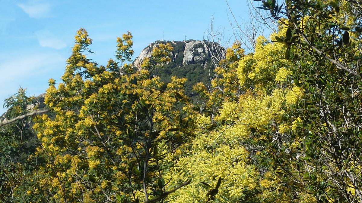 La Crau, le Fenouillet, le château d'Hyères