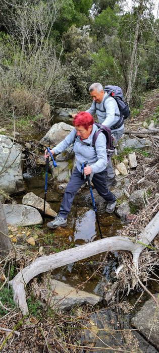Les Cascades du Boulin, la Chartreuse de la Verne