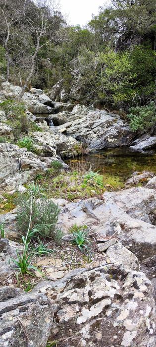 Les Cascades du Boulin, la Chartreuse de la Verne