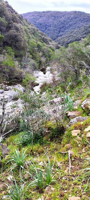 Les Cascades du Boulin, la Chartreuse de la Verne