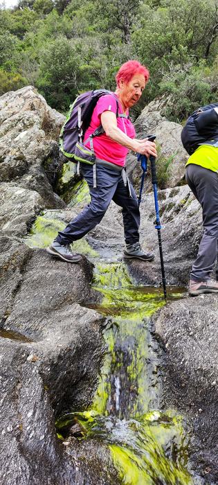 Les Cascades du Boulin, la Chartreuse de la Verne
