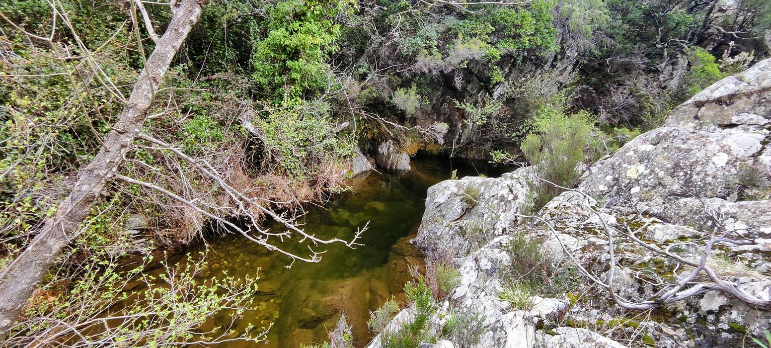 Les Cascades du Boulin, la Chartreuse de la Verne