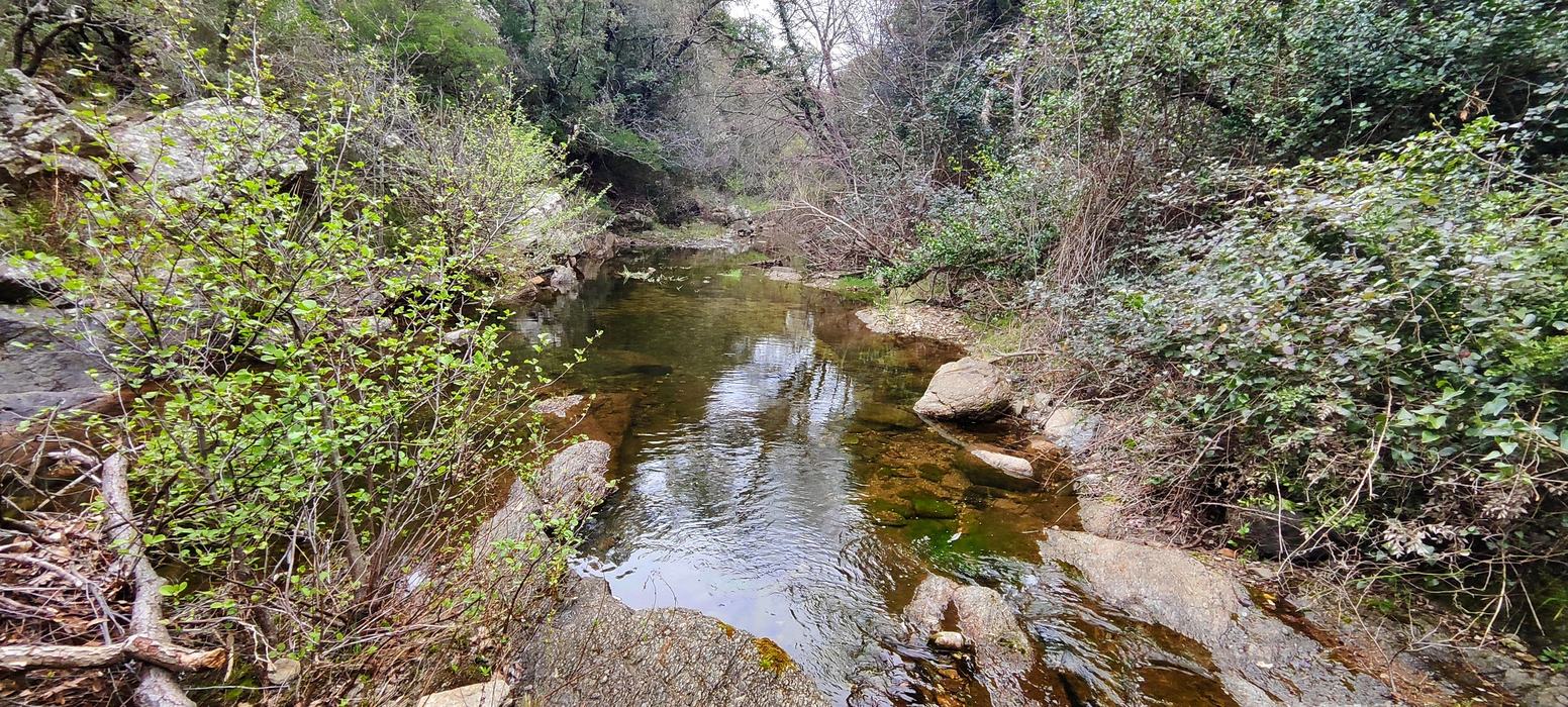 Les Cascades du Boulin, la Chartreuse de la Verne