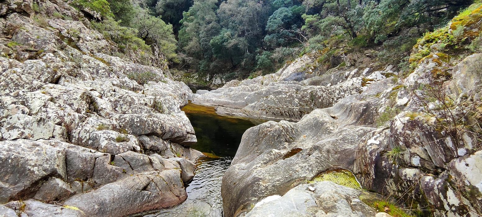Les Cascades du Boulin, la Chartreuse de la Verne