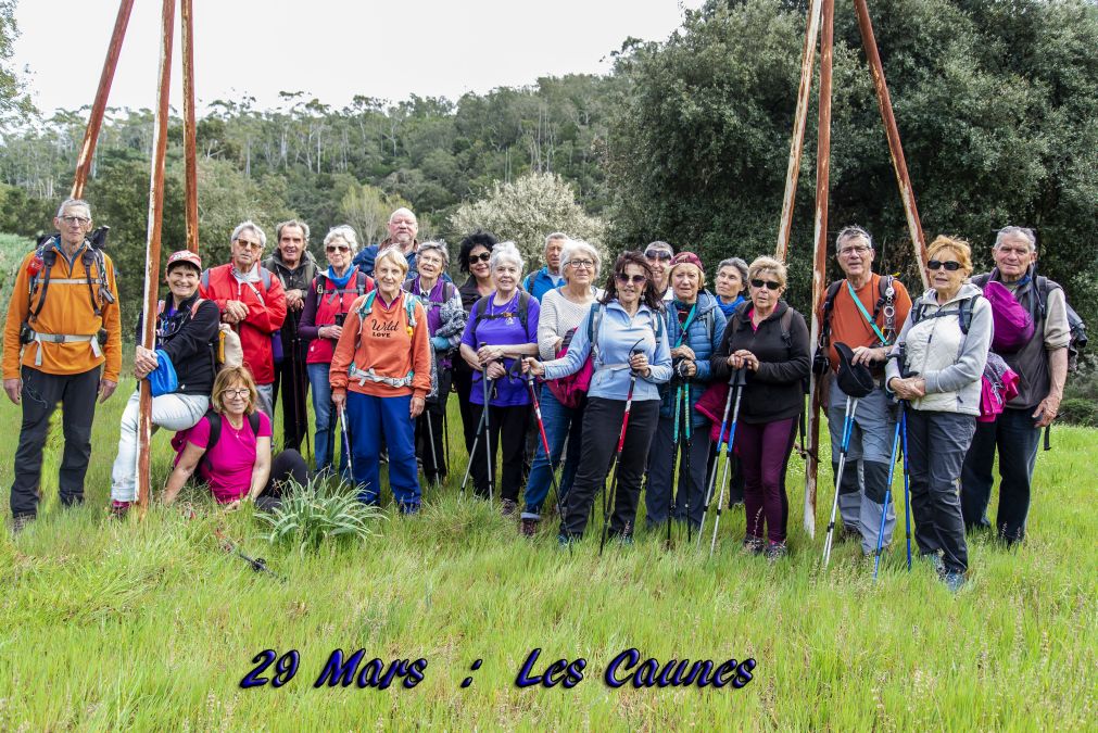 Forêt du Dom, les Caunes