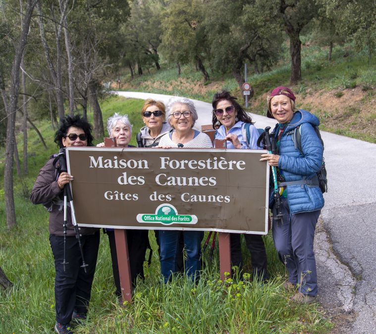 Forêt du Dom, les Caunes