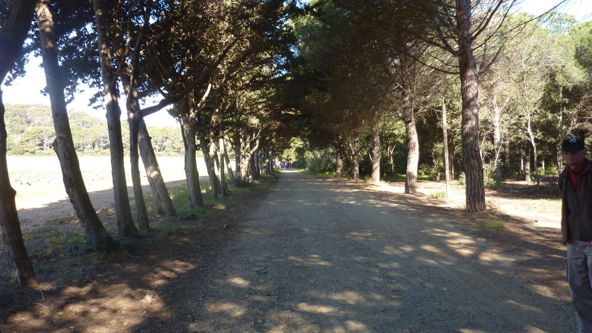 Porquerolles