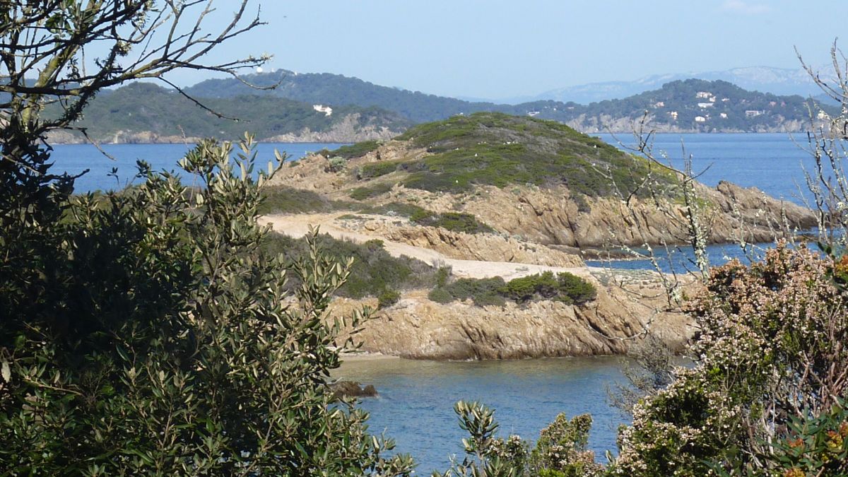 Porquerolles