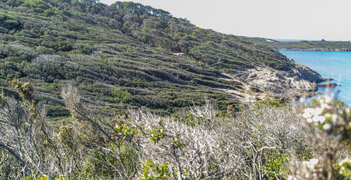 Porquerolles