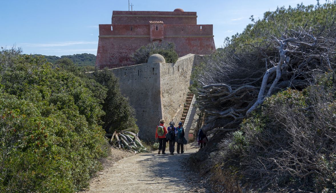 Porquerolles