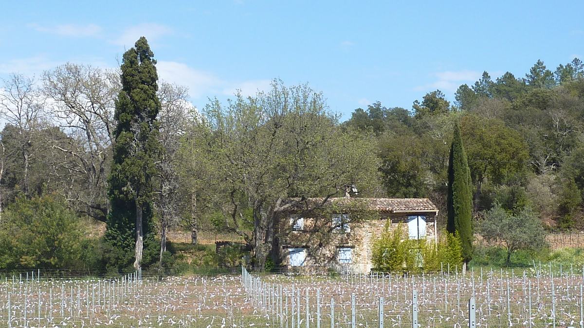 Pignans, le Fédon