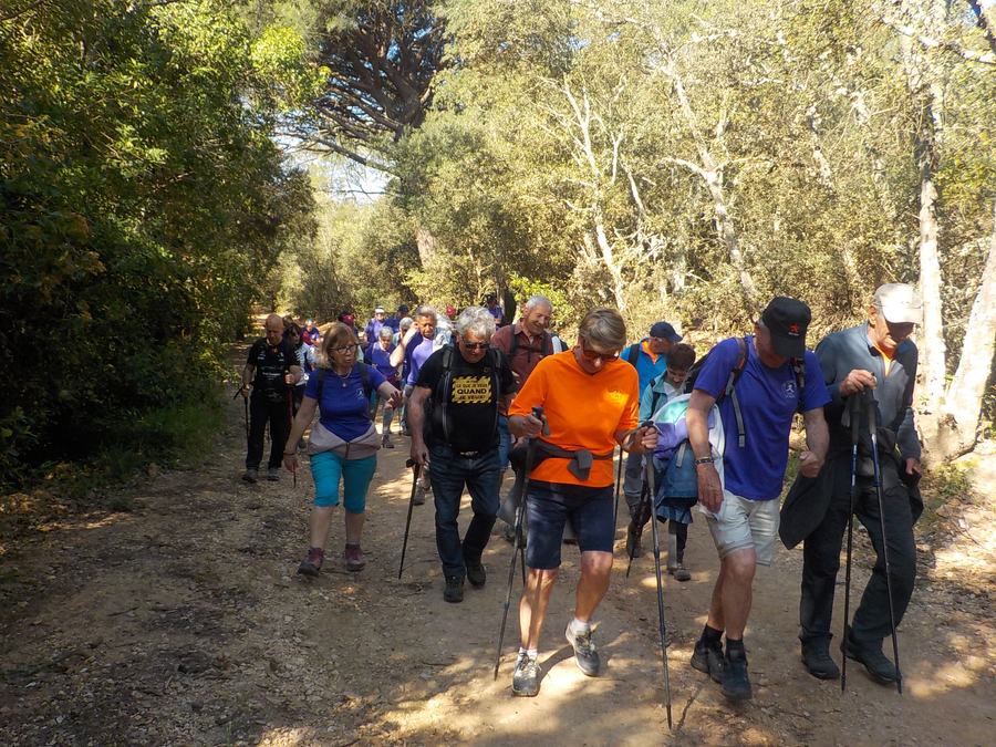 Le Viet, les grillades, interclub