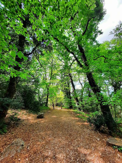 Sainte-Baume, pas de l’Aï