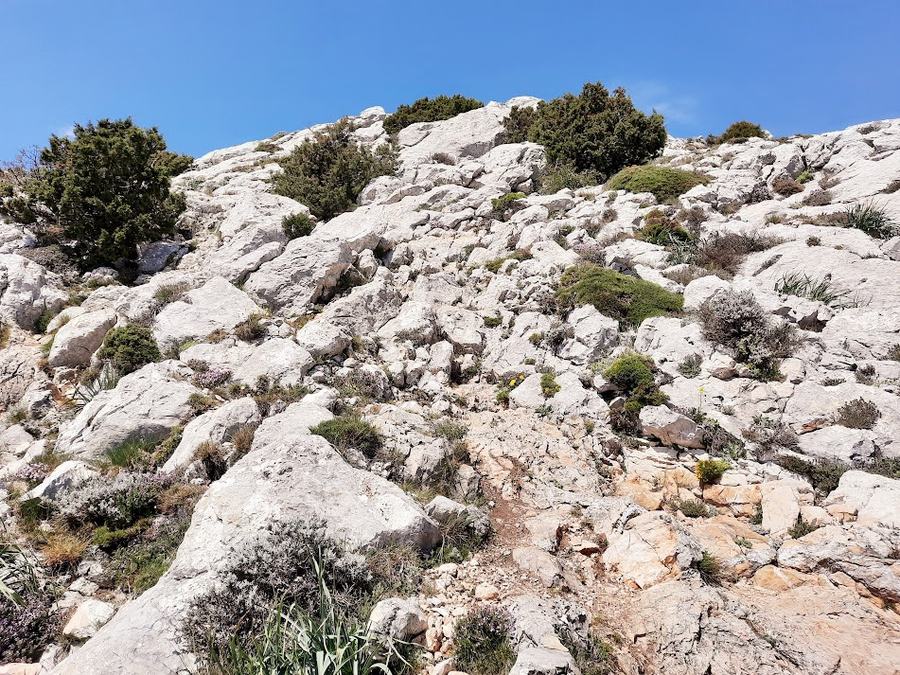 Sainte-Baume, pas de l’Aï