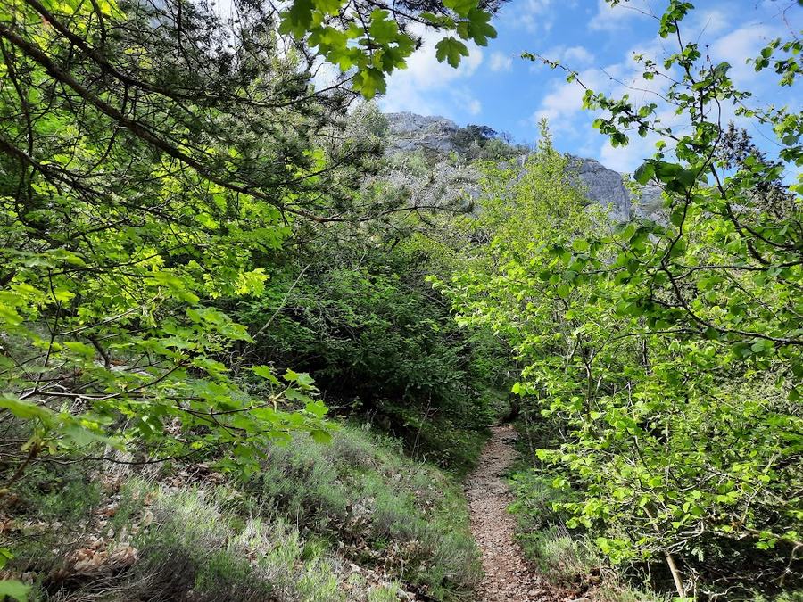 Sainte-Baume, pas de l’Aï