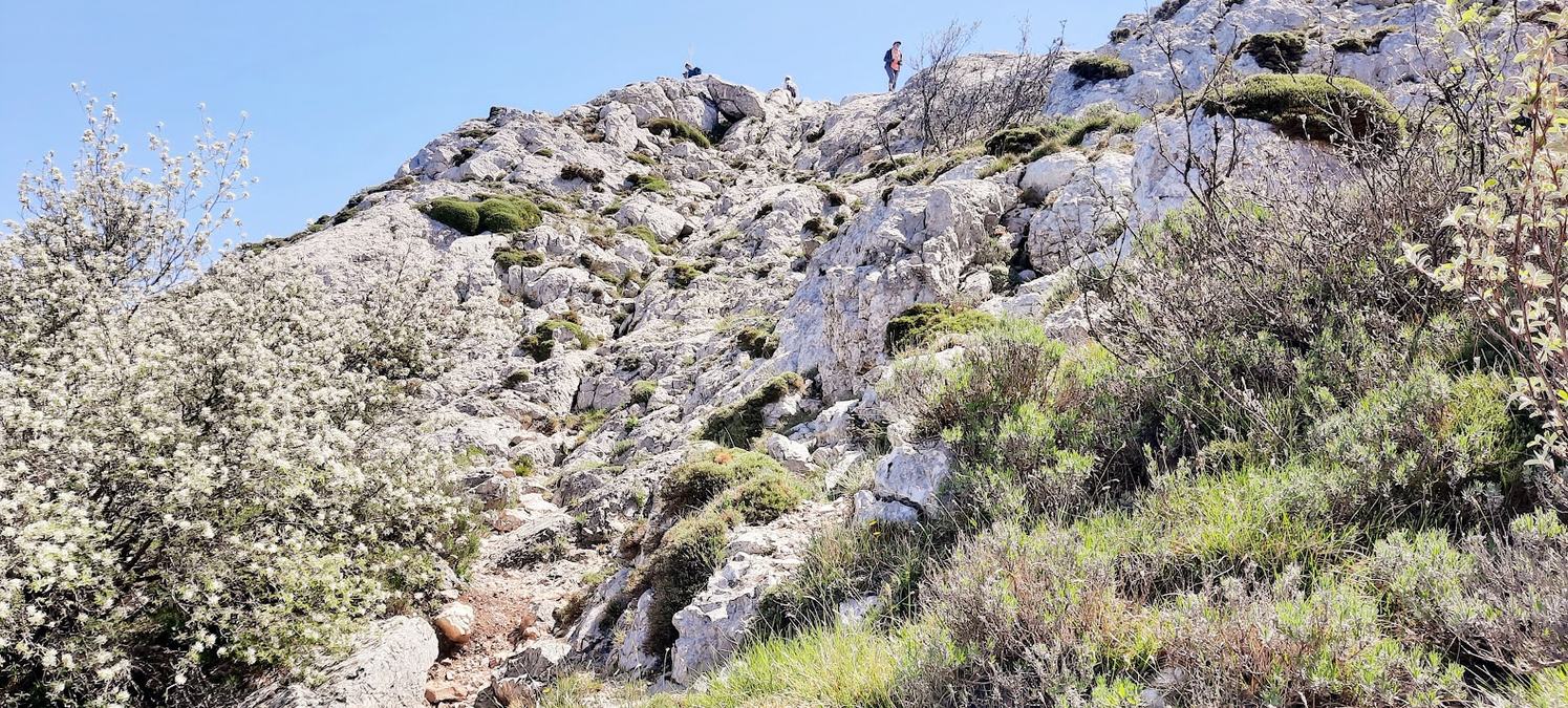 Sainte-Baume, pas de l’Aï