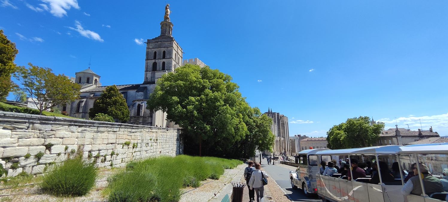 Sortie à Avignon