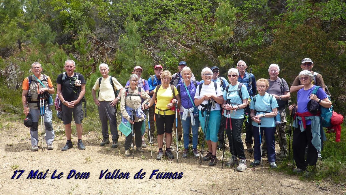 La forêt du Dom