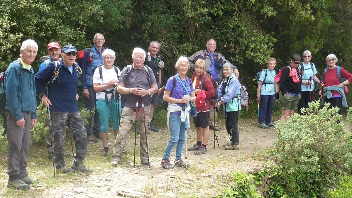 La forêt du Dom