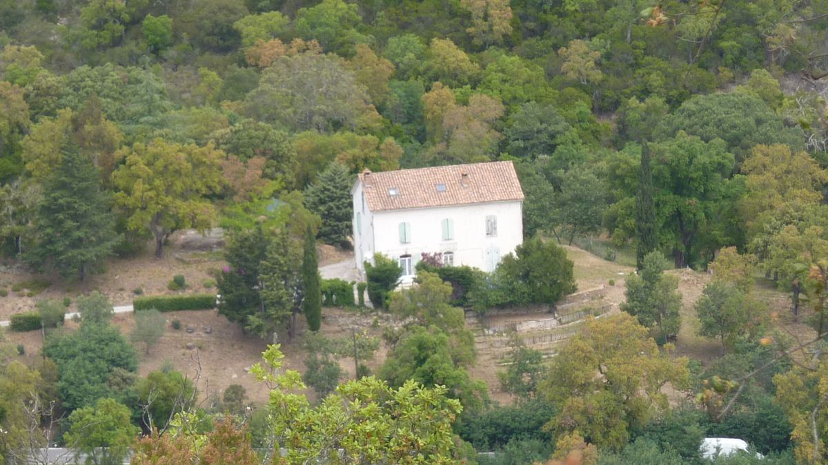La forêt du Dom