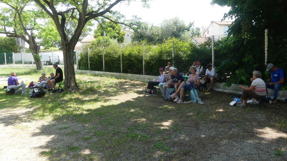 La Camargue