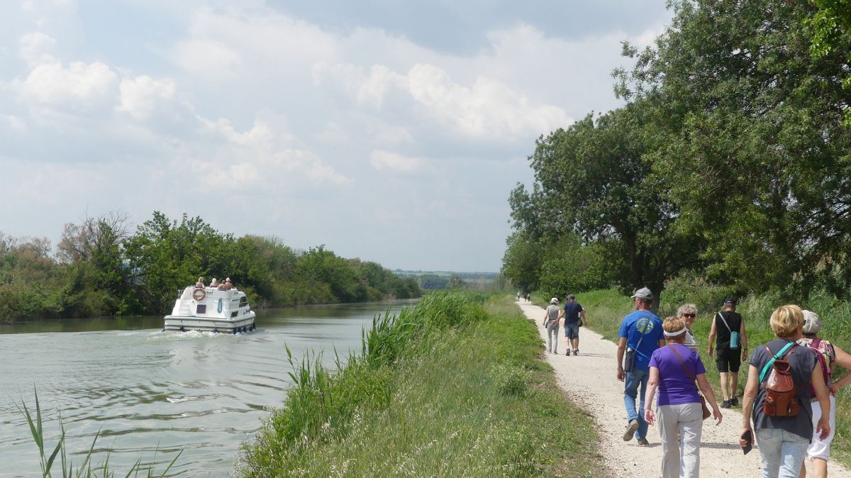 La Camargue