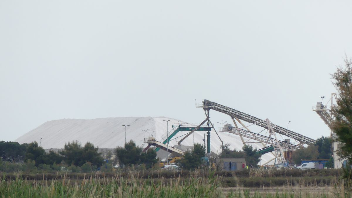 La Camargue