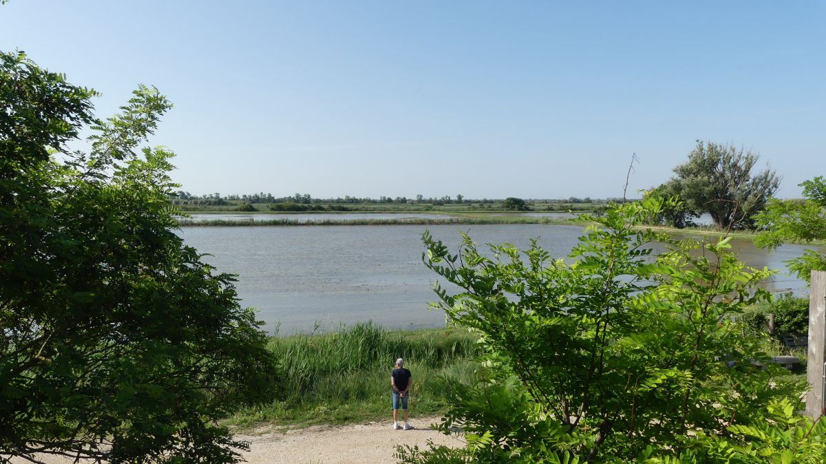 La Camargue