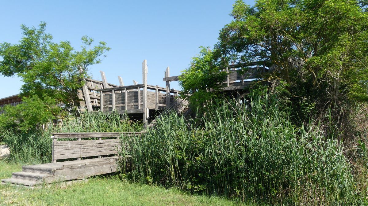 La Camargue