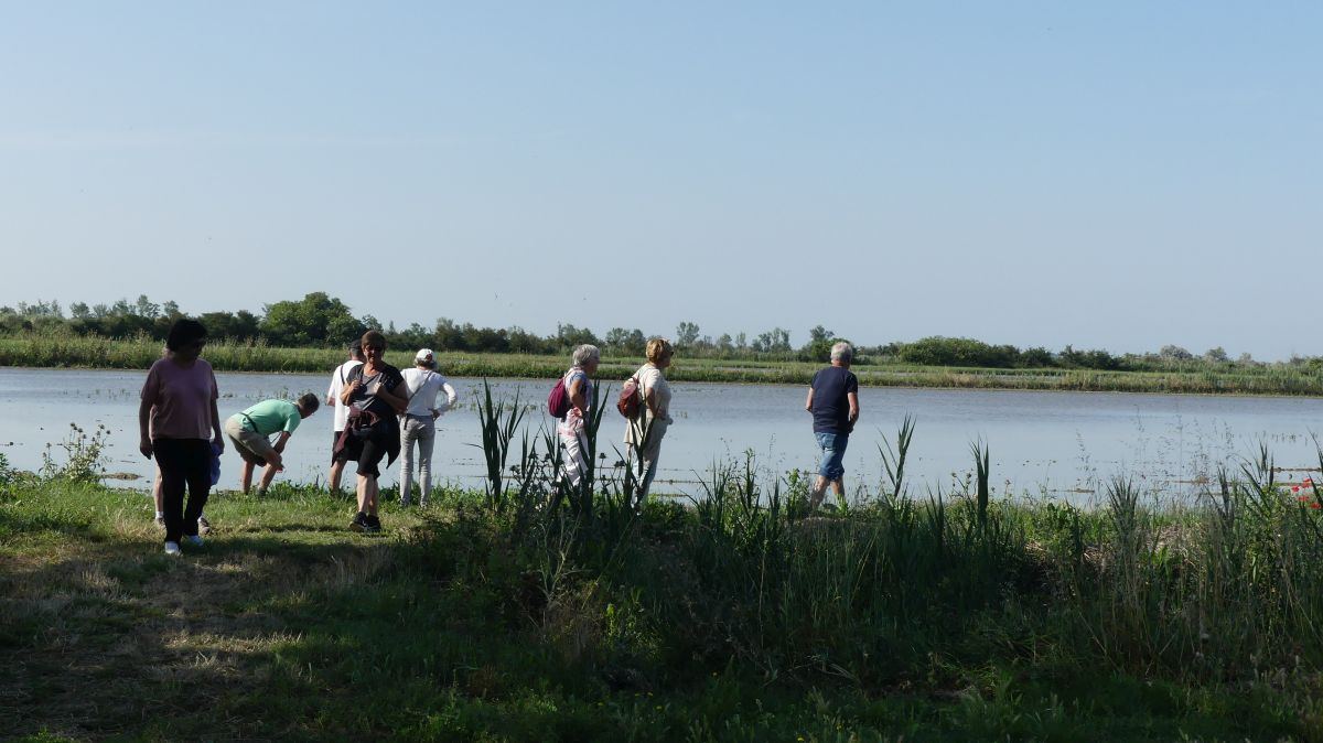 La Camargue
