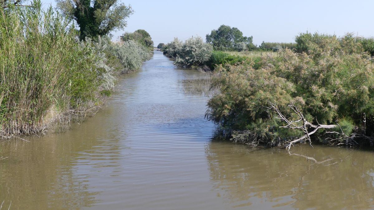 La Camargue