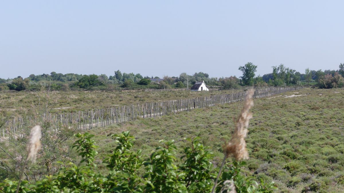 La Camargue