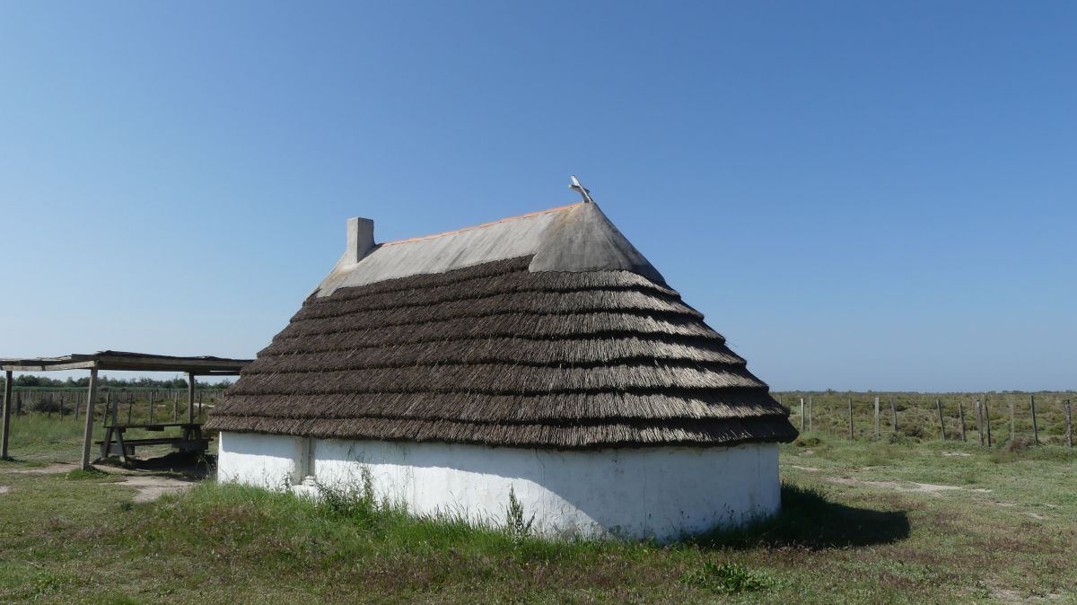 La Camargue