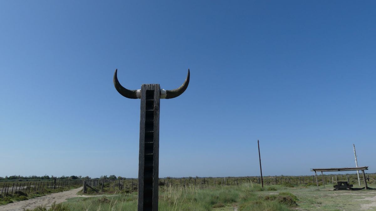 La Camargue