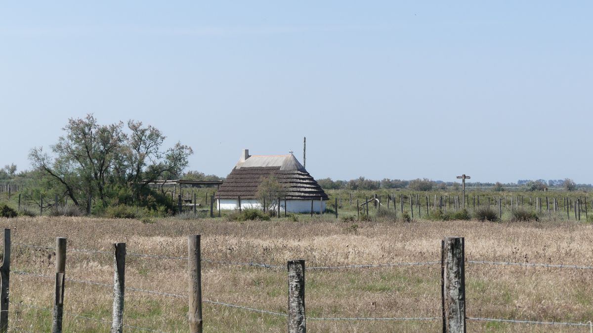 La Camargue