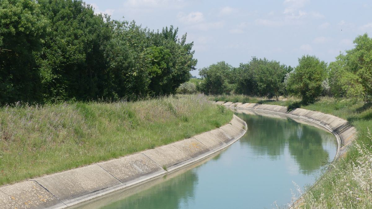 La Camargue