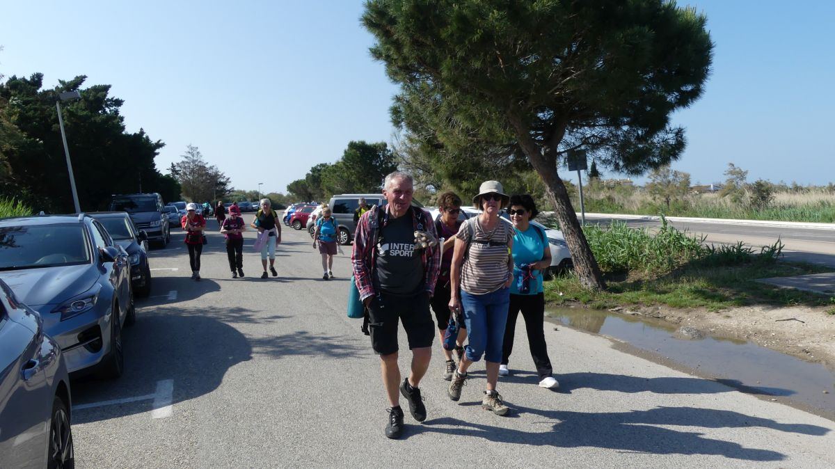 La Camargue