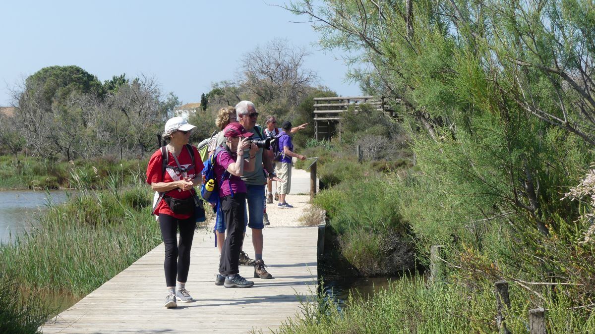 La Camargue