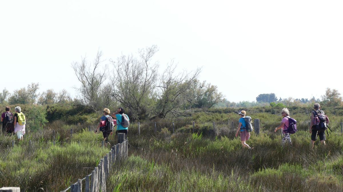 La Camargue