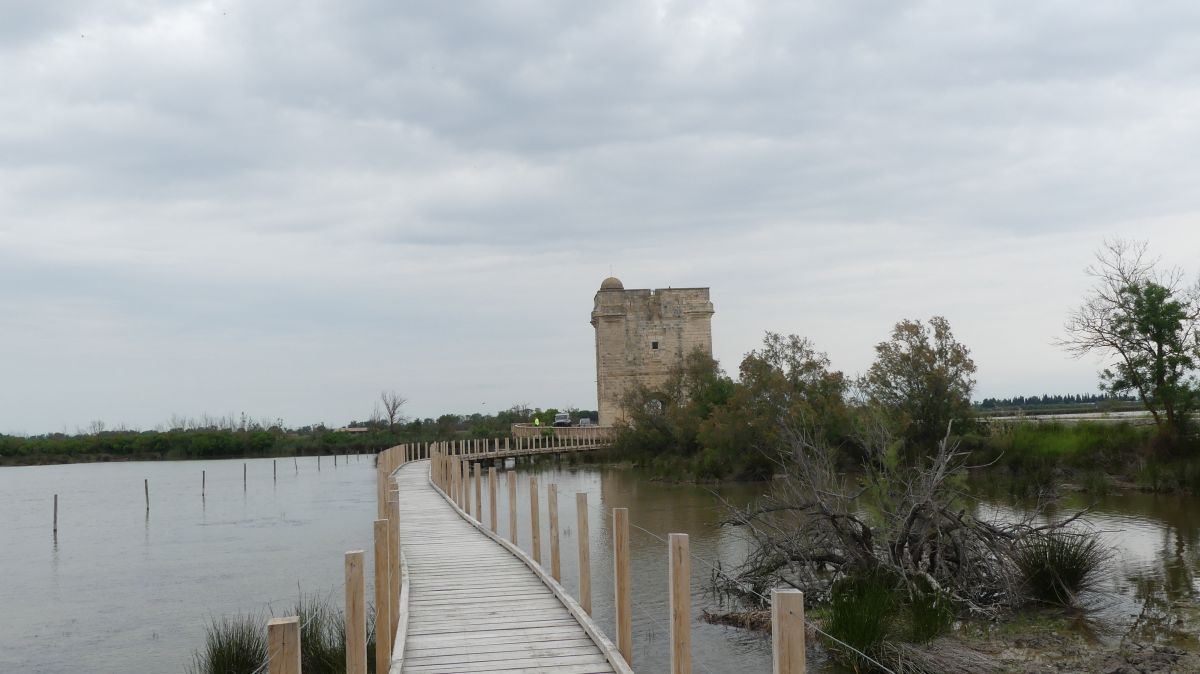 La Camargue
