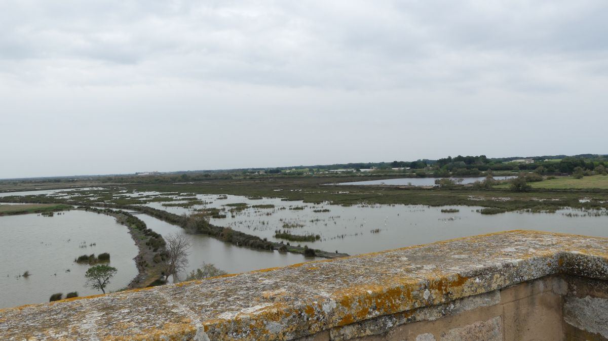 La Camargue