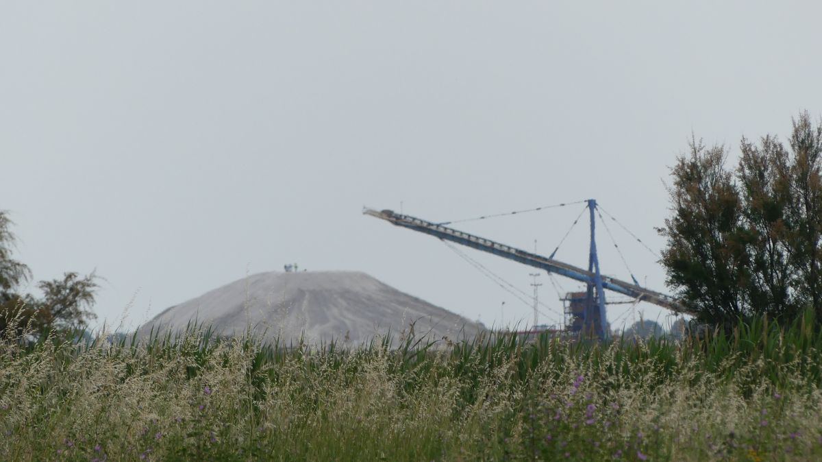 La Camargue