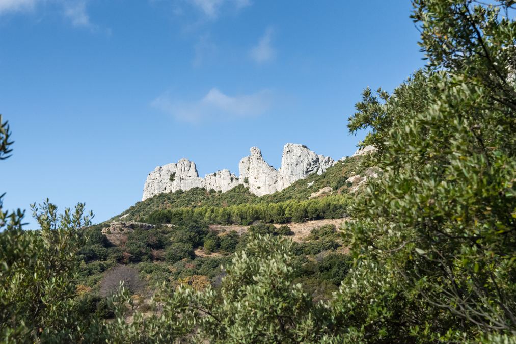 Sainte Baume, dents de Roquefourcade 