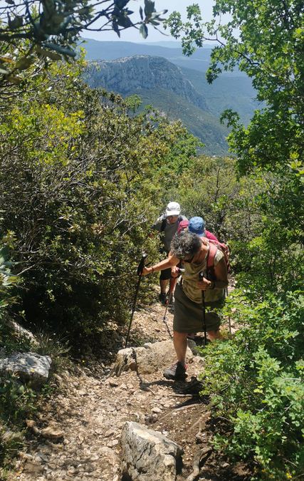 Sainte Baume, dents de Roquefourcade 